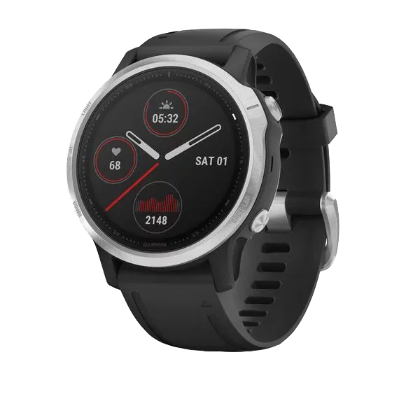Смарт-часы Garmin Fenix 6S серебристые с черным ремешком